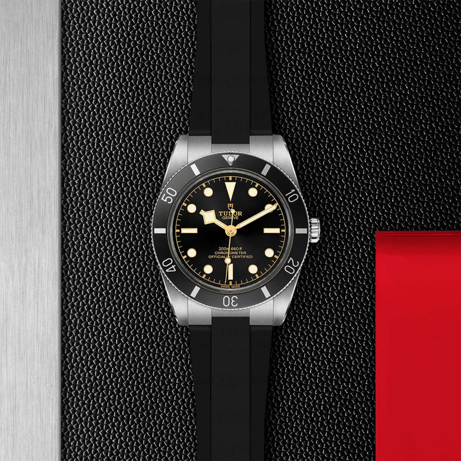 Tudor Black Bay Fifty-Four M79000N-0002 at Bandiera Jewellers Vaughan