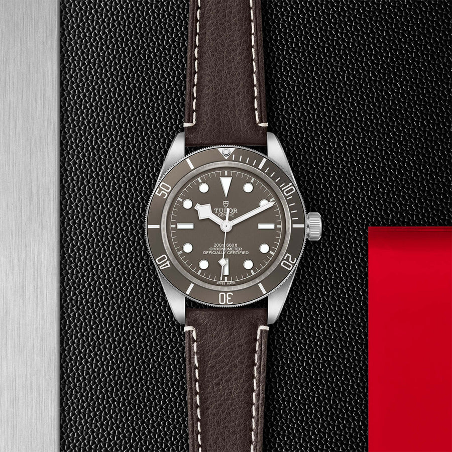 Tudor Black Bay Fifty-Eight 925