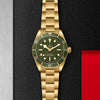 Tudor Black Bay 58 18K M79018V-0006 Bandiera Jewellers