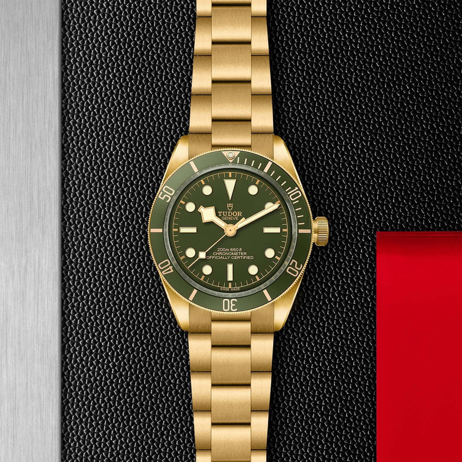 Tudor Black Bay Fifty-Eight 18K