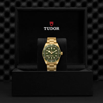 Tudor Black Bay 58 18K M79018V-0006 Bandiera Jewellers