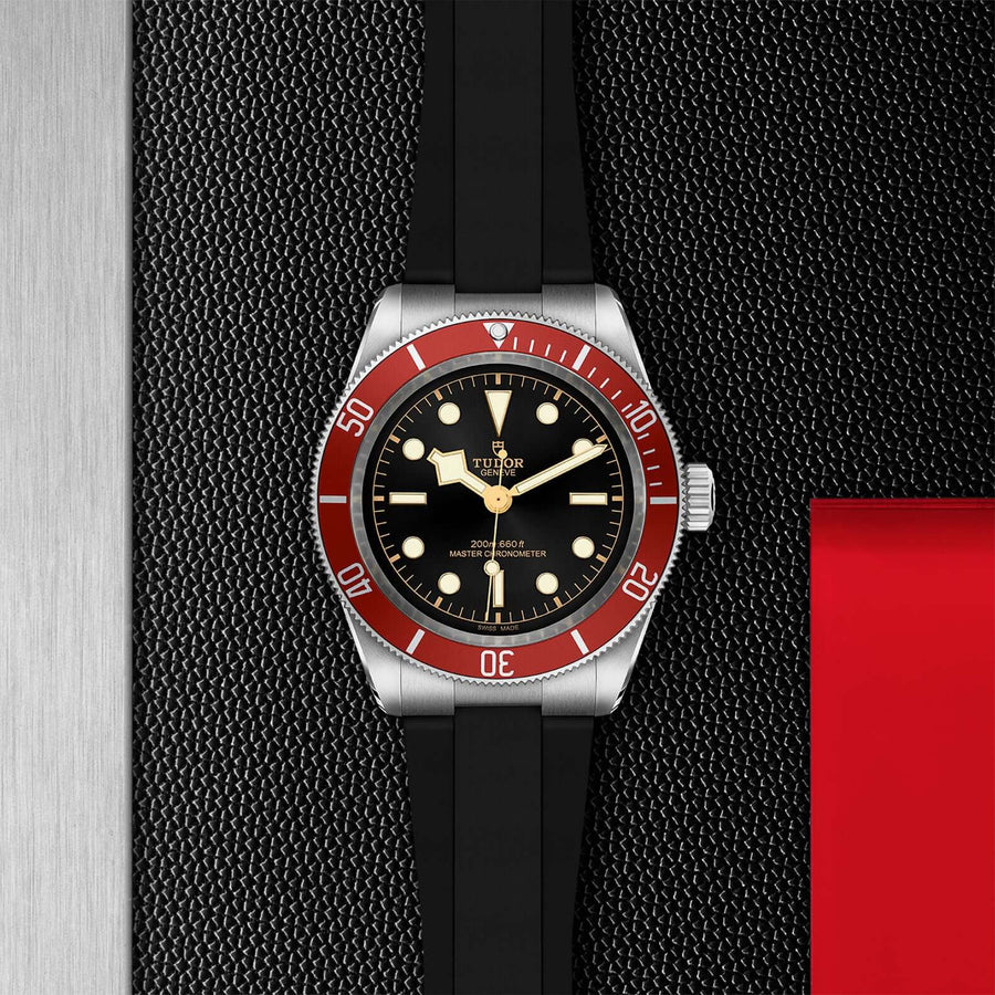 Tudor Black Bay